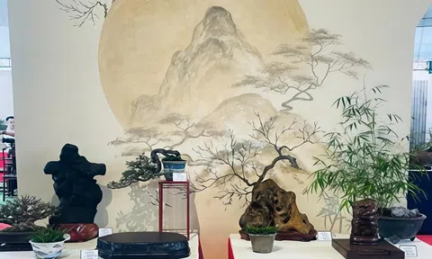 Bonsai và Suiseki - hành trình song hành của nghệ thuật và tinh thần phương Đông