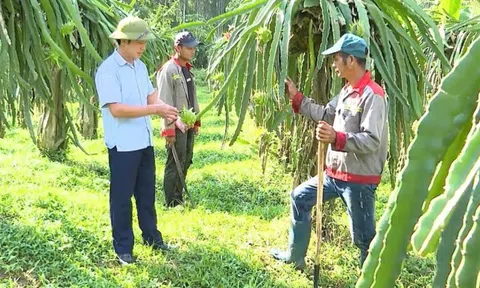 Phong Thổ, Lai Châu: Nhiều giải pháp kết nối tiêu thụ nông sản