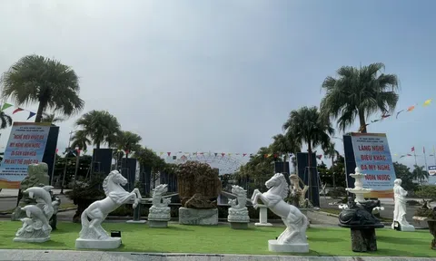 Trưng bày sinh vật cảnh tại Triển lãm Made in Da Nang Expo 2026: khẳng định vị thế của sinh vật cảnh trong nhịp sông đô thị