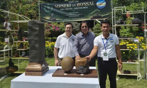 Ra mắt Câu lạc bộ Đá cảnh Khánh Hòa – Kết nối đam mê, lan tỏa giá trị nghệ thuật