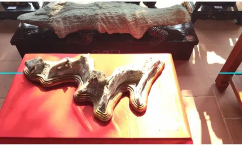 Tuyệt tác đá cảnh độc đáo của Nghệ nhân ưu tú Trần Văn Anh