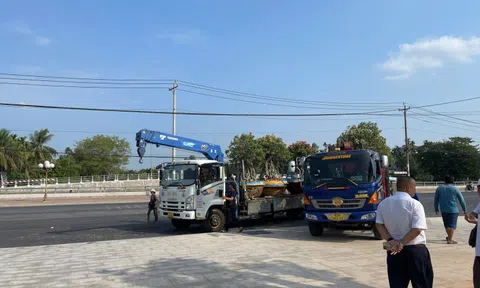 Khi tất cả cùng chung tay xã hội hóa sinh vật cảnh