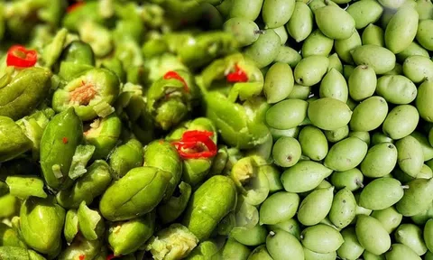 Cà na, loại quả có vị chua được săn đón, giá 170.000 đồng/kg vẫn hút khách