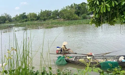 Sông Đầm – nơi hương sưa “đánh thức” hồn xứ Quảng
