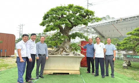Hội SVC tỉnh Tuyên Quang: Triển lãm SVC chào mừng thành công Đại hội lần thứ I