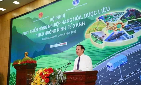 Lai Châu: Hội nghị thúc đẩy nông nghiệp hàng hóa, dược liệu theo hướng kinh tế xanh