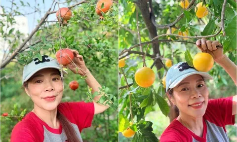 Vườn nhà ca sĩ Mỹ Lệ: Bí hồ lô sai quả ngoài mong đợi, mít xoài lựu chín rộ suốt bốn mùa