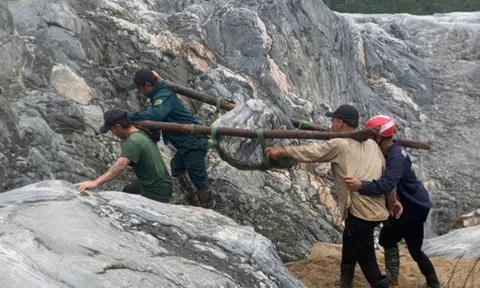 Những người "săn linh hồn của đá"