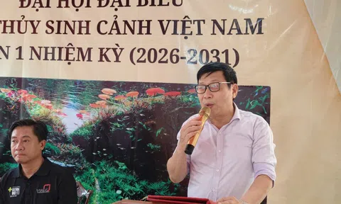 Ra mắt Câu lạc bộ Thủy sinh cảnh Việt Nam: Bước ngoặt cho cộng đồng