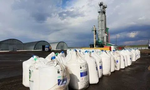 Thị trường phân bón sôi động: Xuất – nhập khẩu đều tăng mạnh trong nửa đầu năm 2025