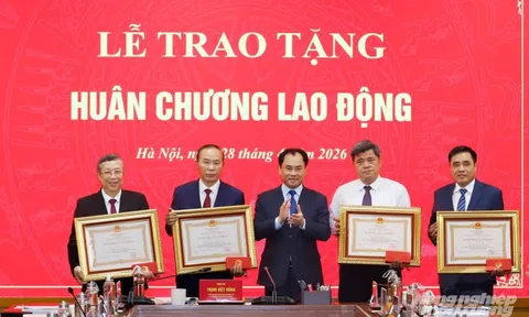 Vinh danh 4 Thứ trưởng Bộ Nông nghiệp và Môi trường với Huân chương Lao động cao quý