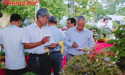 Nghệ nhân Nguyễn Văn Chánh: Vị giám khảo tâm huyết và tầm nhìn xã hội hóa các hội thi sinh vật cảnh