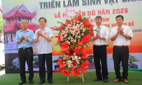 Triển lãm sinh vật cảnh phường Từ Sơn: Lan tỏa sắc xanh văn hóa Kinh Bắc