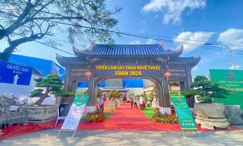 Triển lãm cây cảnh nghệ thuật Xuân 2026: Tôn vinh vẻ đẹp cây cảnh trong không gian mở