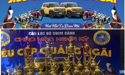 Siêu cúp chim Chào mào nở rộ: Giá trị văn hóa đứng trước áp lực thương mại hóa
