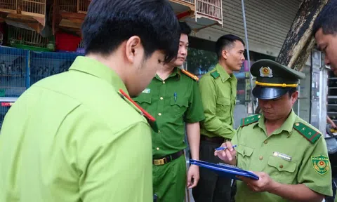 Kiểm tra chợ chim lớn nhất Hà Nội: Phát hiện nhiều loài thuộc diện quản lý