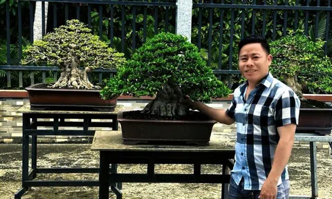 Nghệ nhân Châu Đức – từ đam mê cá nhân đến truyền lửa cho các phong trào sinh vật cảnh tỉnh