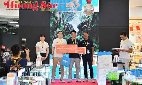 Huỳnh Nguyễn Minh Thiện: "Cậu Út" tài năng và làn gió mới của Thủy sinh cảnh Việt Nam
