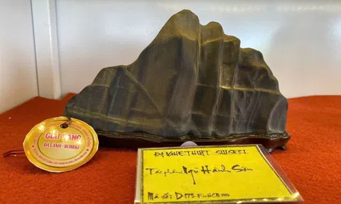 Hội thi Đá cảnh nguyên bản – Suiseki tại Festival Sinh vật cảnh & Cây xanh Di Sản lần 3 năm 2026