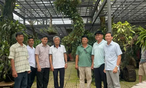 Kỳ 4: Vườn lan trong lòng phố