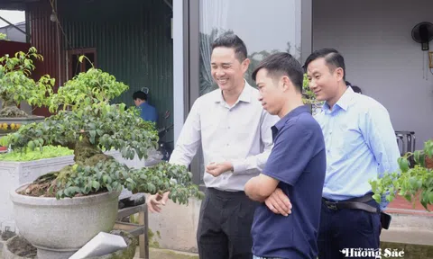 Anh Kim Văn Kiên với hành trình giữ lửa đam mê bonsai