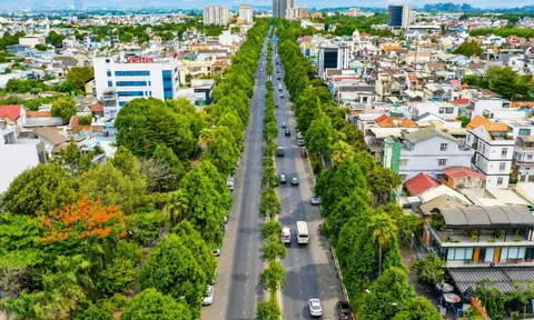 Sinh vật cảnh trước “cú hích đô thị”: Động lực mới trong hành trình xây dựng Đồng Nai thành siêu đô thị xanh