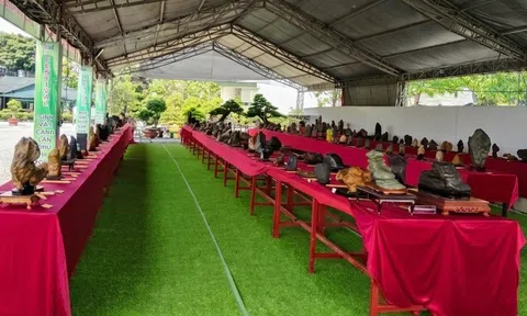 Hội thi Đá cảnh Nguyên bản – Suiseki tại Festival Sinh vật cảnh & Cây xanh Di sản lần III