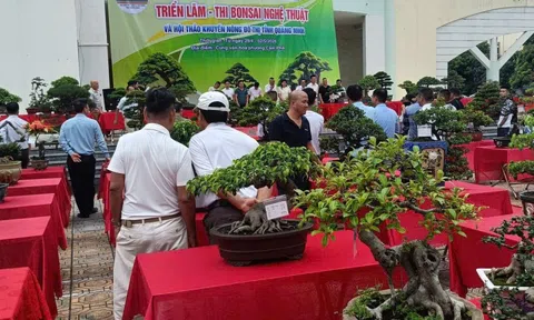 Phát triển hoa, cây cảnh: Hướng đi chiến lược của nông nghiệp sinh thái Quảng Ninh