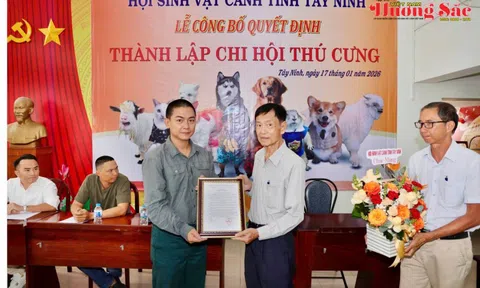 Nguyễn Hồng Vũ: Tiên phong kết nối cộng đồng và nâng tầm ngành thú cưng