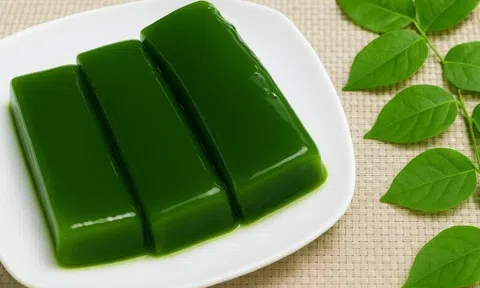 Loài cây từng bị bỏ quên nay trở thành “mỏ vàng xanh” ở vùng quê Việt