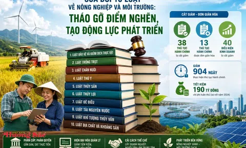 Sửa đổi 10 luật về nông nghiệp và môi trường: Tháo gỡ điểm nghẽn, tạo động lực phát triển