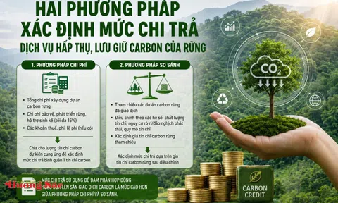 Hai phương pháp xác định mức chi trả dịch vụ hấp thụ, lưu giữ carbon của rừng