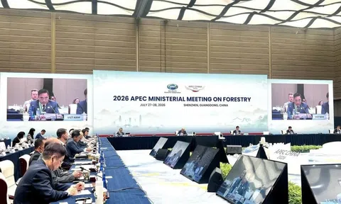 Việt Nam cùng APEC kiến tạo tương lai xanh từ quản trị rừng bền vững
