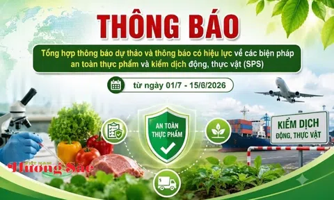 Văn phòng SPS Việt Nam cảnh báo 51 quy định mới có thể ảnh hưởng xuất khẩu nông, lâm, thủy sản