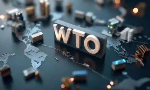 Thông báo SPS mới từ WTO: EU, Hoa Kỳ, Nhật Bản đồng loạt cập nhật quy định ảnh hưởng xuất khẩu nông sản Việt
