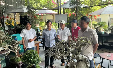 Lễ ra mắt Câu lạc bộ Sinh vật cảnh Bình Minh (Gia Lai)