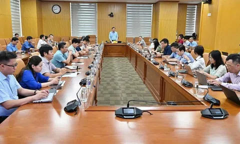 Nghị quyết 36 mở lối cải cách mã số vùng trồng, thúc đẩy xuất khẩu nông sản