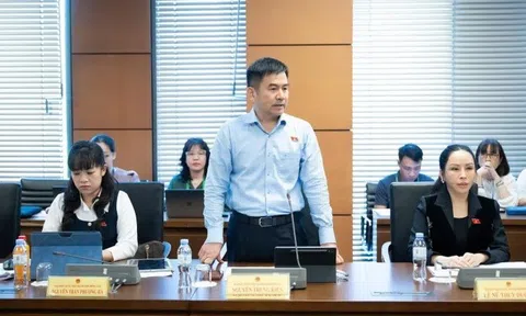 Mua bán cây cảnh, lan đột biến giá trị lớn: Có dấu hiệu rửa tiền hay không?