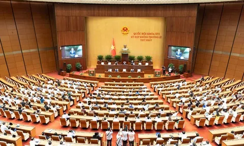 Quốc hội thảo luận sửa đổi 10 luật, thúc đẩy cải cách thủ tục hành chính trong nông nghiệp và môi trường