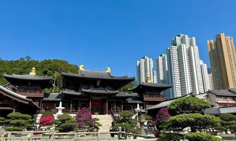 Giải thưởng Thành phố Xanh Thế giới AIPH 2026: Khi cây xanh trở thành hạ tầng thiết yếu của đô thị