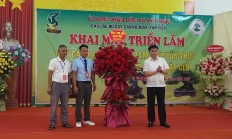 Gần 500 tác phẩm hội tụ tại triển lãm cây cảnh nghệ thuật Tam Hiệp