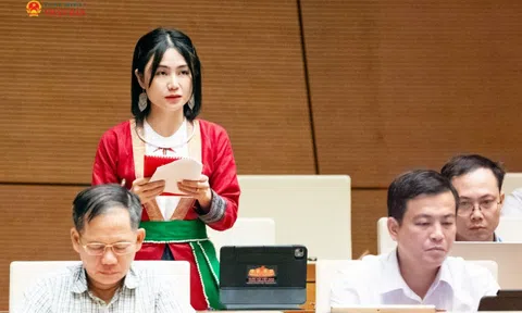 Từ giấy lưu hành phân bón đến thuốc BVTV xuất khẩu: Điểm nghẽn nhìn từ thị trường phân bón và thuốc BVTV
