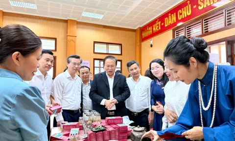Sen Việt: Từ giá trị truyền thống đến ngành hàng đa giá trị