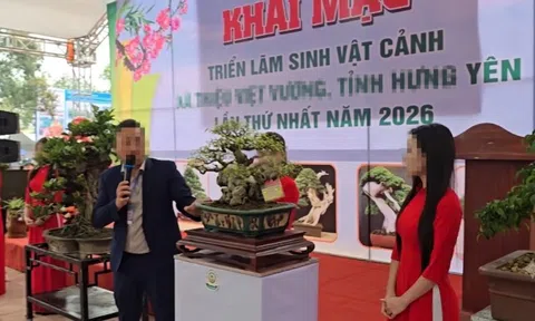 Góc nhìn chuyên gia: Rủi ro pháp lý từ các phiên đấu giá cây cảnh nghệ thuật