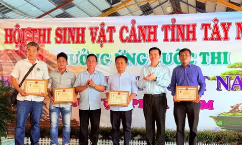 Khai mạc Hội thi Sinh vật cảnh tỉnh Tây Ninh, phát động Cuộc thi Bonsai & Suiseki Việt Nam 2026