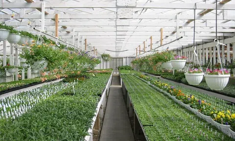 Hà Nội đối thoại với nông dân, tháo gỡ khó khăn trong phát triển nông nghiệp xanh, bền vững