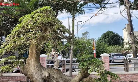 Các nghệ nhân CLB SVC Phổ An giới thiệu một số tác phẩm nghệ thuật