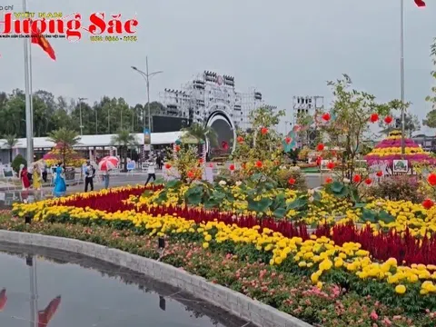 Thăm Festival hoa - kiểng Sa Đéc 2025 ở Đồng Tháp