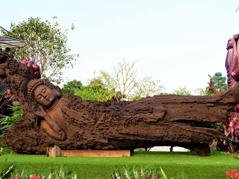 Choáng ngợp với bộ sưu tập gỗ lũa siêu khủng độc lạ nhất miền Tây