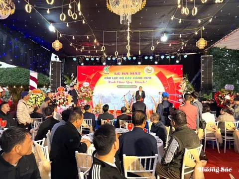 Quyết định về việc thành lập Câu lạc bộ Cây cảnh 1978